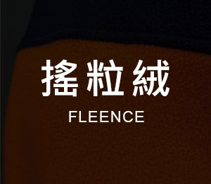 輔料
